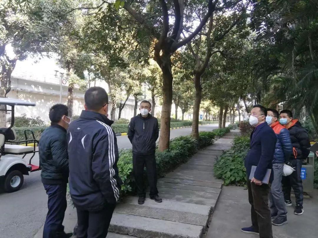 1582100693923302.jpg 6.jpg