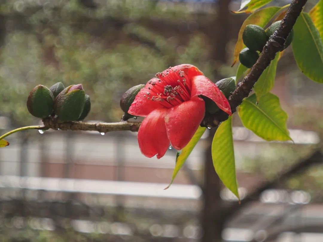 1645706004691991.jpg 52d0a7a22be566be2f88ec927b299829.jpg