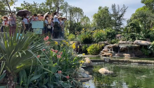 1656418508158374.png ffd4b7c0bc26659bdedc5ef905f8b7a.png